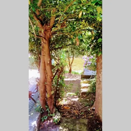 Casa Ferreira, Senda Del Oso Σπίτι διακοπών Οβιέδο