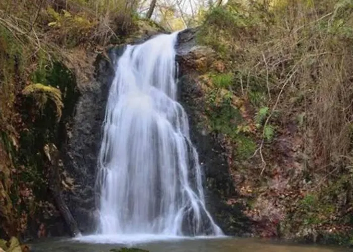 Casa Ferreira, Senda Del Oso Prázdninový dům