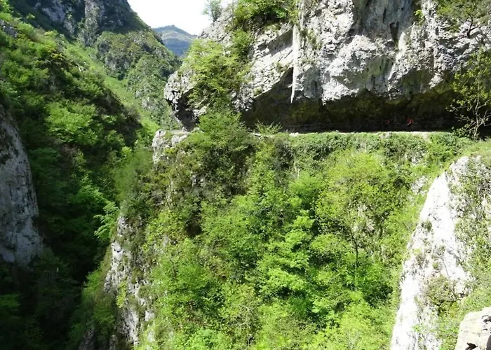 Casa Ferreira, Senda Del Oso