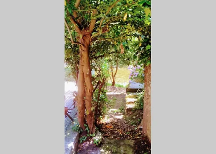 Casa Ferreira, Senda Del Oso Hébergement de vacances Oviede